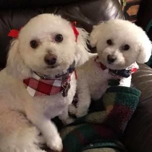 Meet your Posher, Deborah